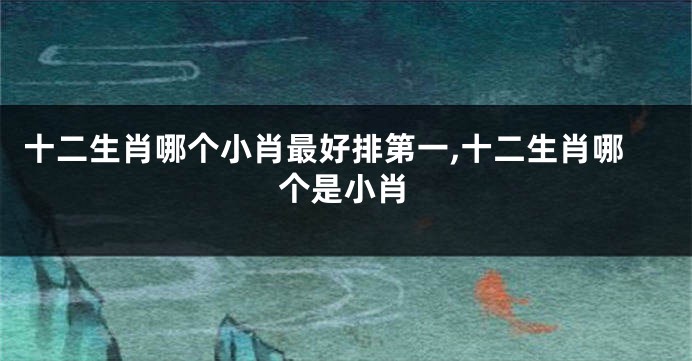 十二生肖哪个小肖最好排第一,十二生肖哪个是小肖