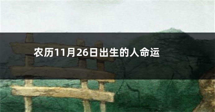 农历11月26日出生的人命运
