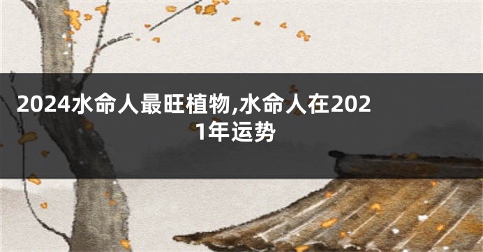 2024水命人最旺植物,水命人在2021年运势