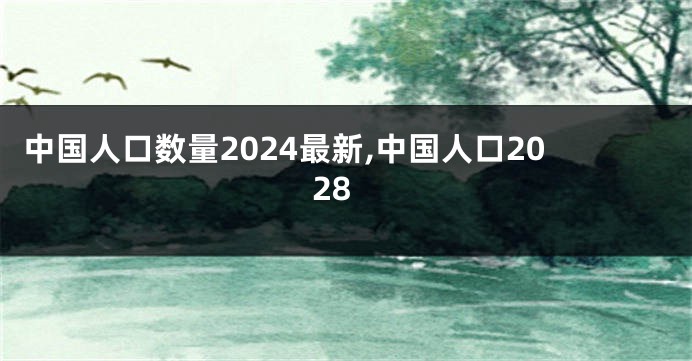 中国人口数量2024最新,中国人口2028