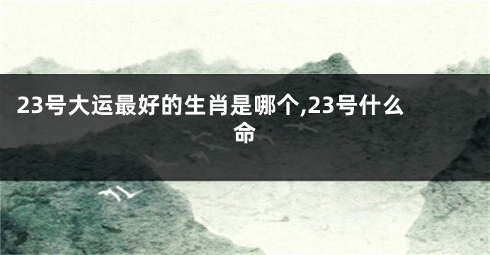 23号大运最好的生肖是哪个,23号什么命