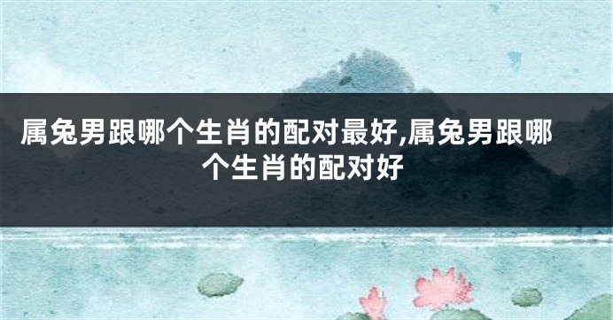属兔男跟哪个生肖的配对最好,属兔男跟哪个生肖的配对好
