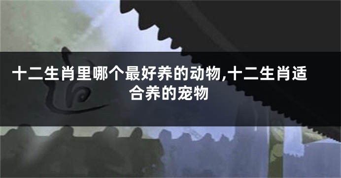 十二生肖里哪个最好养的动物,十二生肖适合养的宠物