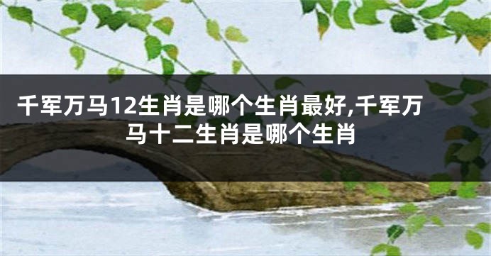 千军万马12生肖是哪个生肖最好,千军万马十二生肖是哪个生肖