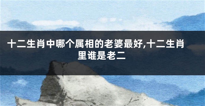 十二生肖中哪个属相的老婆最好,十二生肖里谁是老二