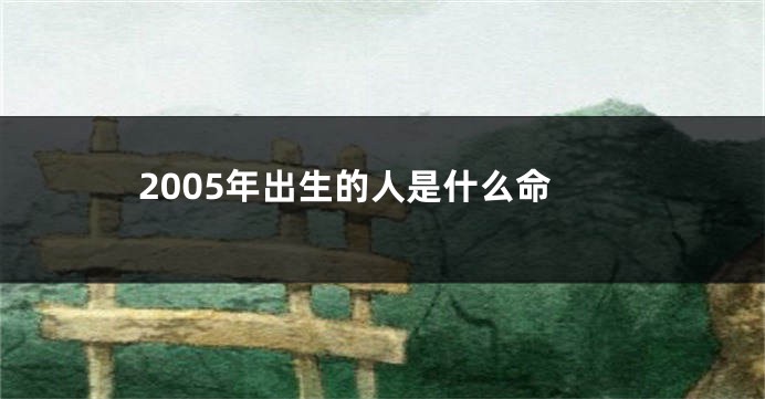 2005年出生的人是什么命