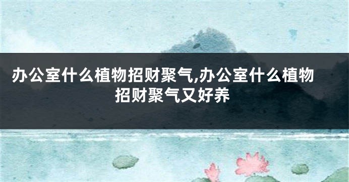 办公室什么植物招财聚气,办公室什么植物招财聚气又好养