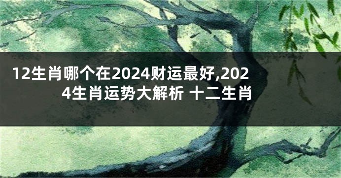 12生肖哪个在2024财运最好,2024生肖运势大解析 十二生肖