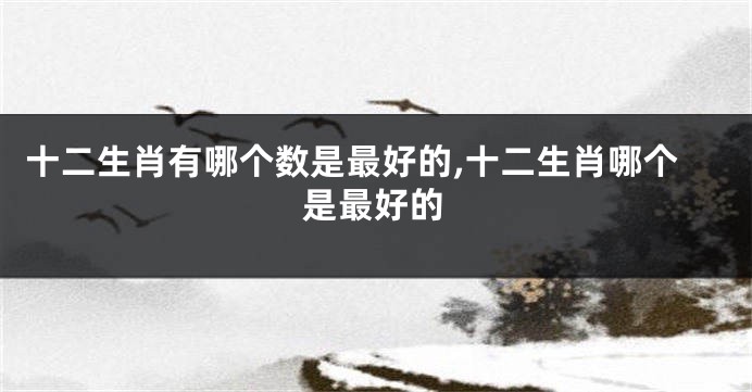 十二生肖有哪个数是最好的,十二生肖哪个是最好的