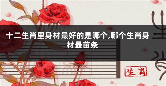 十二生肖里身材最好的是哪个,哪个生肖身材最苗条