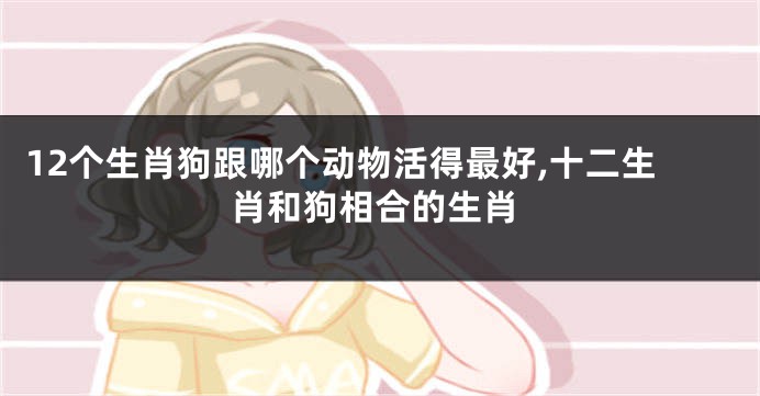 12个生肖狗跟哪个动物活得最好,十二生肖和狗相合的生肖