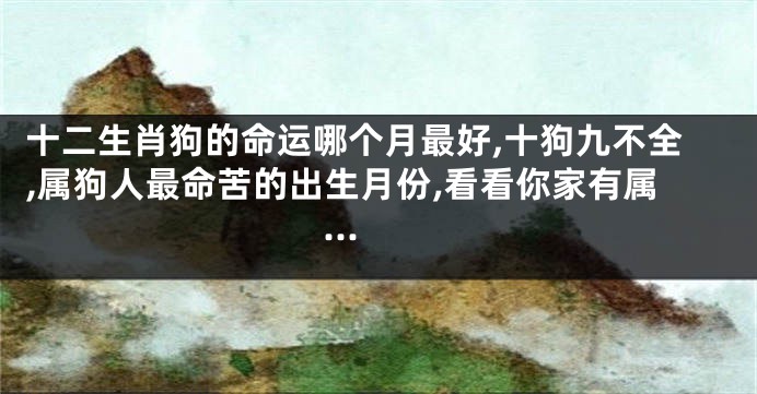 十二生肖狗的命运哪个月最好,十狗九不全,属狗人最命苦的出生月份,看看你家有属...