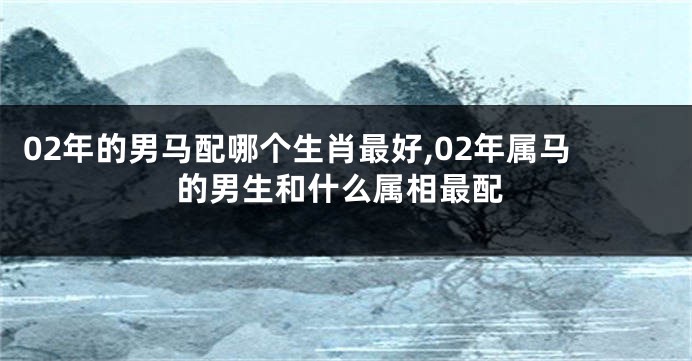 02年的男马配哪个生肖最好,02年属马的男生和什么属相最配