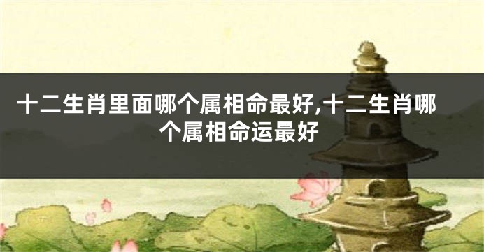 十二生肖里面哪个属相命最好,十二生肖哪个属相命运最好