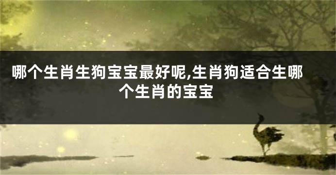 哪个生肖生狗宝宝最好呢,生肖狗适合生哪个生肖的宝宝