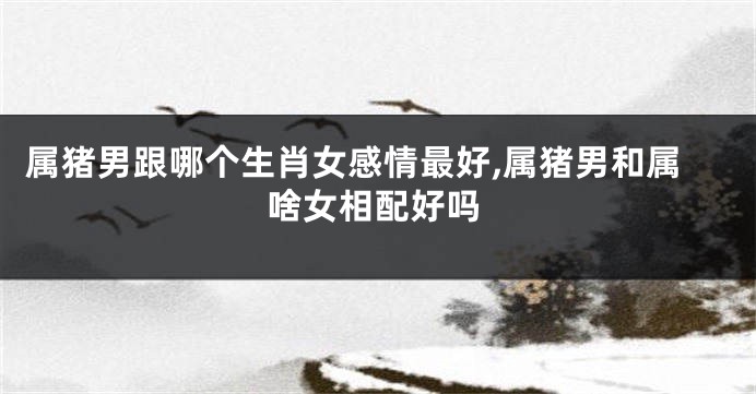 属猪男跟哪个生肖女感情最好,属猪男和属啥女相配好吗