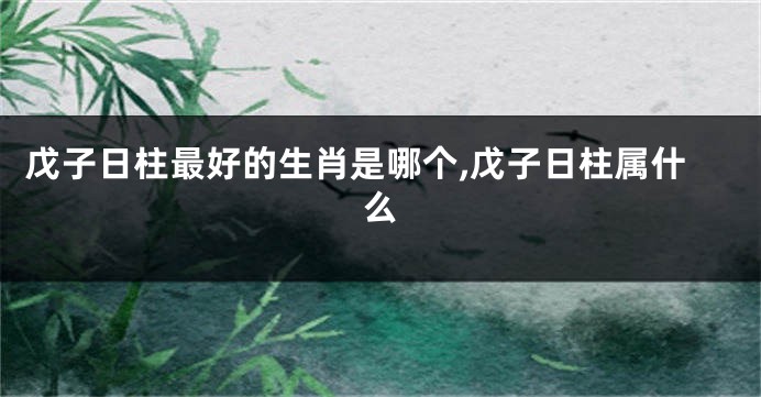戊子日柱最好的生肖是哪个,戊子日柱属什么