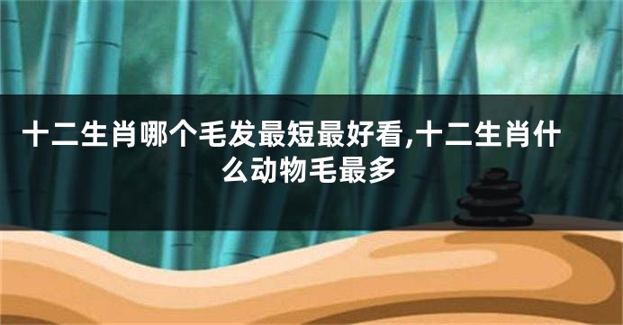 十二生肖哪个毛发最短最好看,十二生肖什么动物毛最多