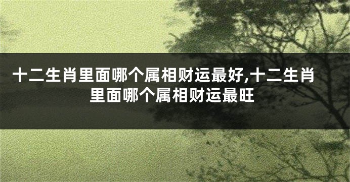 十二生肖里面哪个属相财运最好,十二生肖里面哪个属相财运最旺