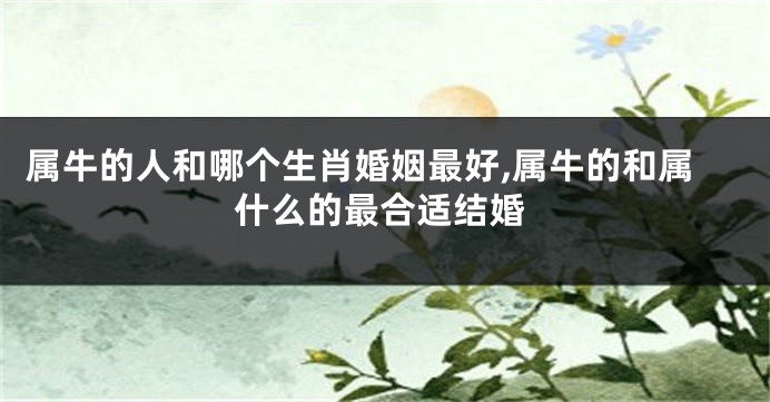 属牛的人和哪个生肖婚姻最好,属牛的和属什么的最合适结婚