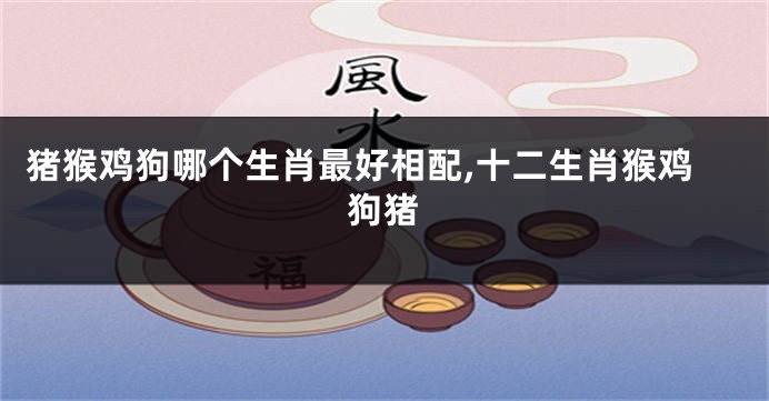 猪猴鸡狗哪个生肖最好相配,十二生肖猴鸡狗猪