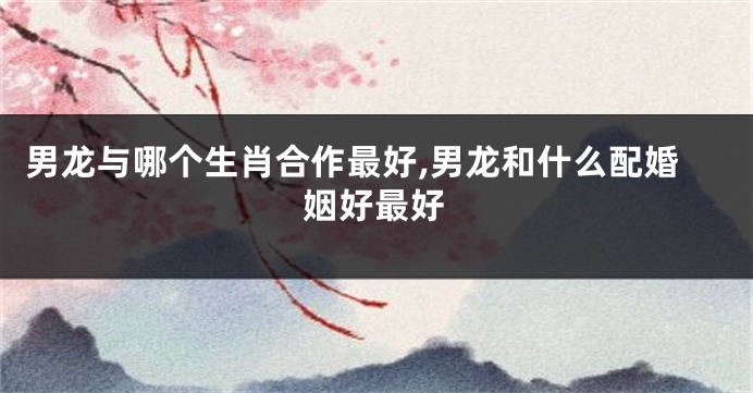 男龙与哪个生肖合作最好,男龙和什么配婚姻好最好
