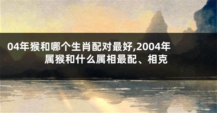 04年猴和哪个生肖配对最好,2004年属猴和什么属相最配、相克