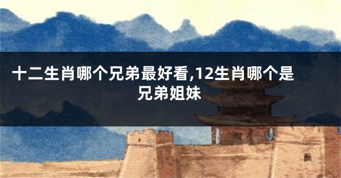 十二生肖哪个兄弟最好看,12生肖哪个是兄弟姐妹