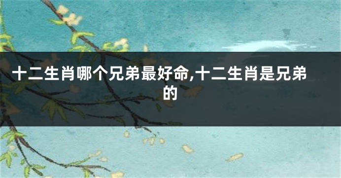 十二生肖哪个兄弟最好命,十二生肖是兄弟的