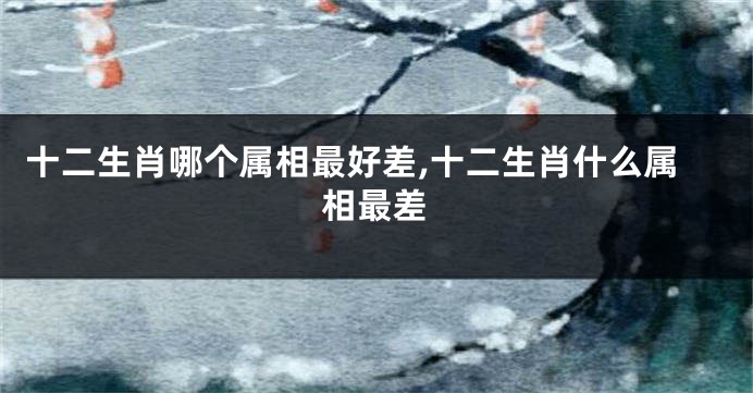 十二生肖哪个属相最好差,十二生肖什么属相最差