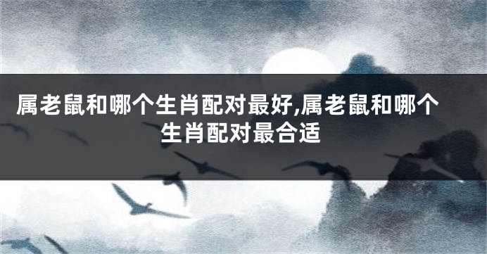 属老鼠和哪个生肖配对最好,属老鼠和哪个生肖配对最合适