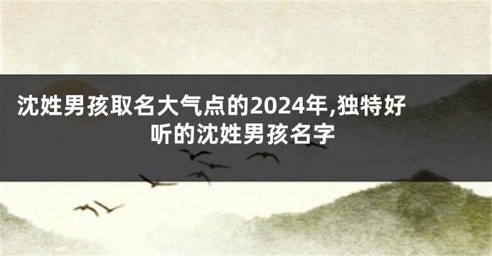 沈姓男孩取名大气点的2024年,独特好听的沈姓男孩名字