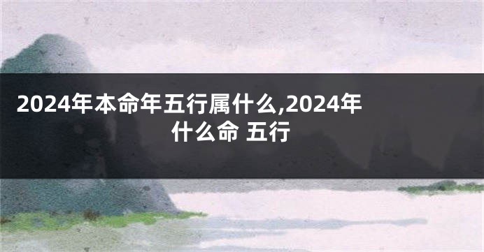 2024年本命年五行属什么,2024年什么命 五行
