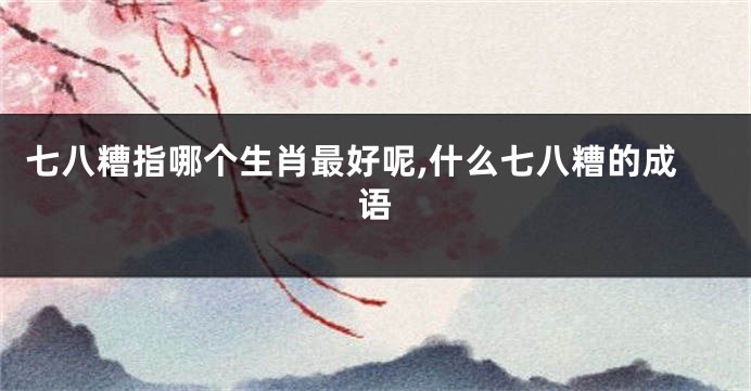 七八糟指哪个生肖最好呢,什么七八糟的成语