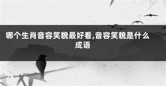 哪个生肖音容笑貌最好看,音容笑貌是什么成语