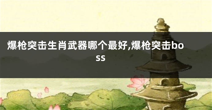 爆枪突击生肖武器哪个最好,爆枪突击boss