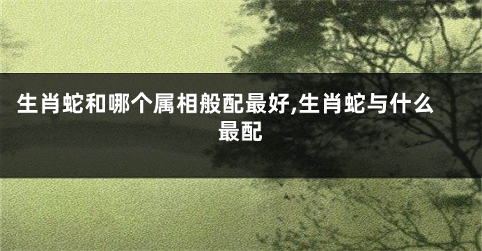 生肖蛇和哪个属相般配最好,生肖蛇与什么最配