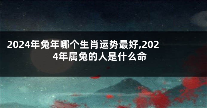 2024年兔年哪个生肖运势最好,2024年属兔的人是什么命