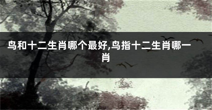 鸟和十二生肖哪个最好,鸟指十二生肖哪一肖