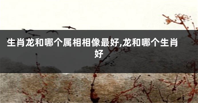 生肖龙和哪个属相相像最好,龙和哪个生肖好
