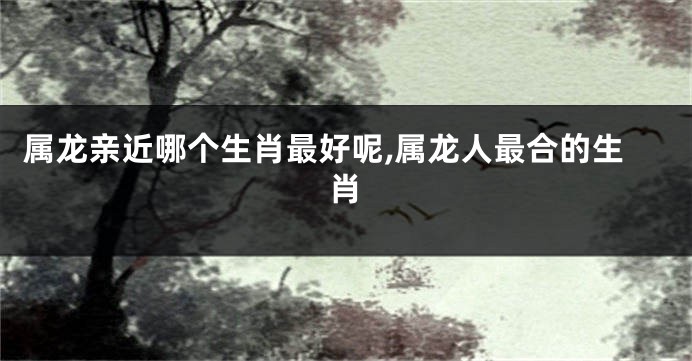属龙亲近哪个生肖最好呢,属龙人最合的生肖