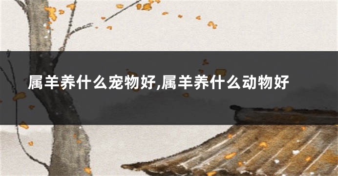 属羊养什么宠物好,属羊养什么动物好