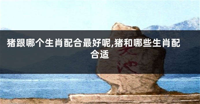 猪跟哪个生肖配合最好呢,猪和哪些生肖配合适