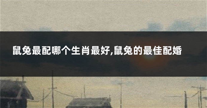 鼠兔最配哪个生肖最好,鼠兔的最佳配婚