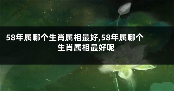 58年属哪个生肖属相最好,58年属哪个生肖属相最好呢