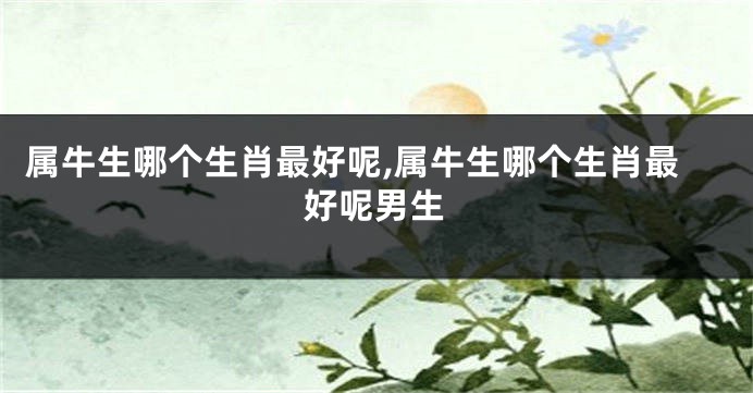属牛生哪个生肖最好呢,属牛生哪个生肖最好呢男生