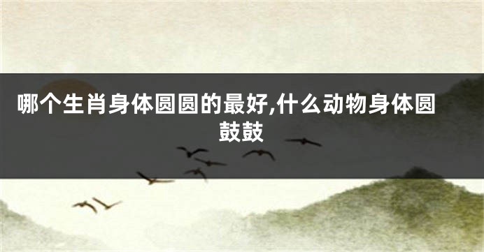 哪个生肖身体圆圆的最好,什么动物身体圆鼓鼓