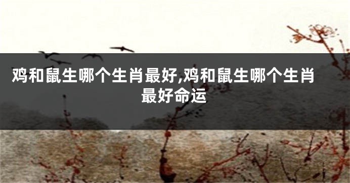 鸡和鼠生哪个生肖最好,鸡和鼠生哪个生肖最好命运