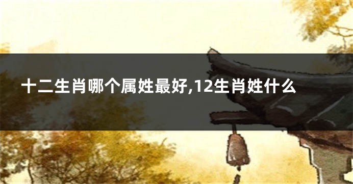 十二生肖哪个属姓最好,12生肖姓什么