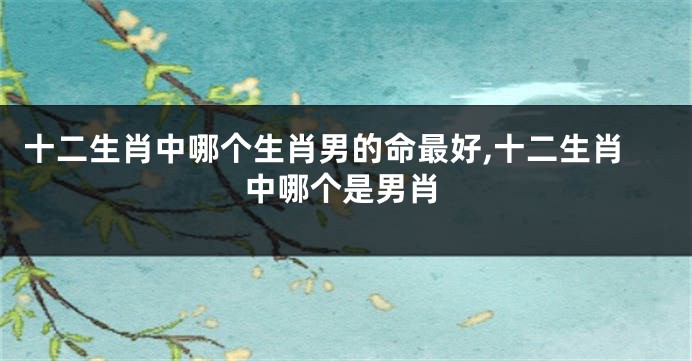十二生肖中哪个生肖男的命最好,十二生肖中哪个是男肖